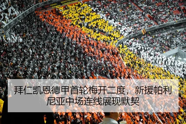 拜仁凯恩德甲首轮梅开二度，新援帕利尼亚中场连线展现默契