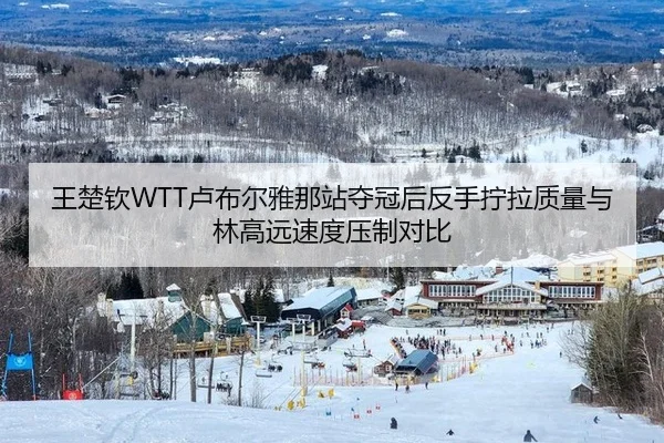 王楚钦WTT卢布尔雅那站夺冠后反手拧拉质量与林高远速度压制对比